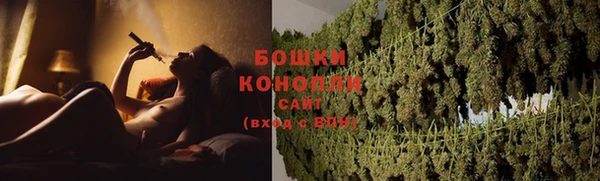 МДПВ Богородицк