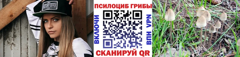 Галлюциногенные грибы Psilocybine cubensis  Ейск 